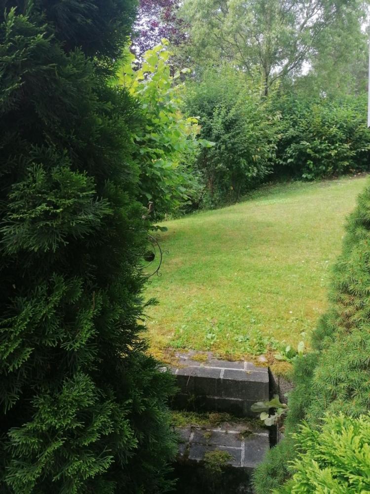 פליינפילד Fewo Grenzenlos In Ramsberg מראה חיצוני תמונה
